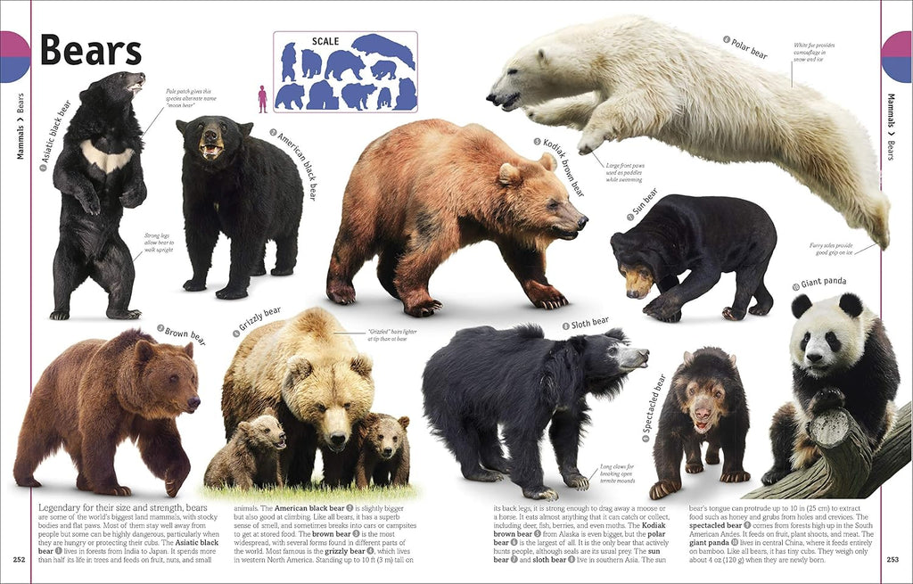 The Animal Book: A Visual Animal Kingdom Encyclopedia for Kids (DK Our World in Pictures)